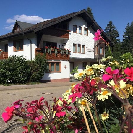 Appartement Haus Seiler à Freudenstadt Extérieur photo